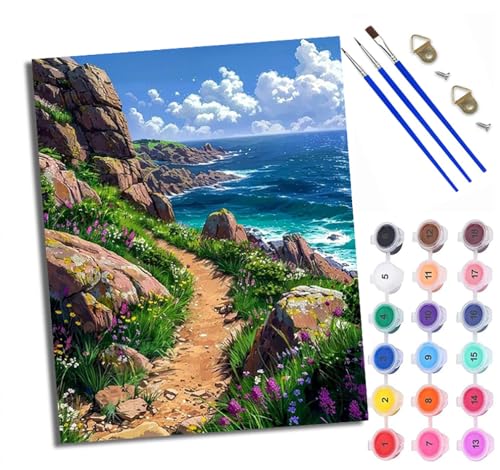 Malen Nach Zahlen Erwachsene Paint by Numbers Malen Nach Zahlen mit Pinseln und Acrylfarben Felsiger Weg am Meer Handgemalte Ölgemälde Leinwand für Home Décor Ohne Rahmen von WXRWANG