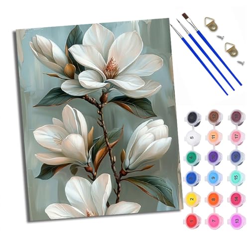 Malen Nach Zahlen Erwachsene Paint by Numbers Malen Nach Zahlen mit Pinseln und Acrylfarben Magnolienzweig Handgemalte Ölgemälde Leinwand für Home Décor Ohne Rahmen von WXRWANG
