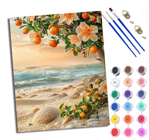 Malen Nach Zahlen Erwachsene Paint by Numbers Malen Nach Zahlen mit Pinseln und Acrylfarben Orangenblütenstrand Handgemalte Ölgemälde Leinwand für Home Décor Ohne Rahmen von WXRWANG