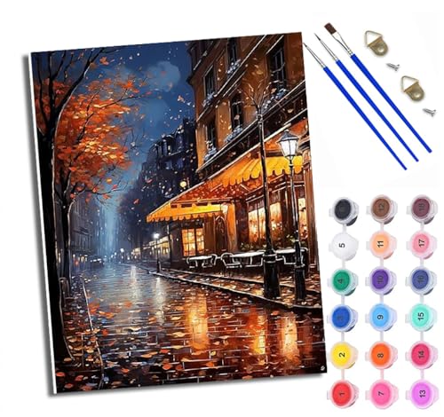 Malen Nach Zahlen Erwachsene Paint by Numbers Malen Nach Zahlen mit Pinseln und Acrylfarben Retrato de una mujer con cabello rizado Handgemalte Ölgemälde Leinwand für Home Décor Ohne Rahmen von WXRWANG