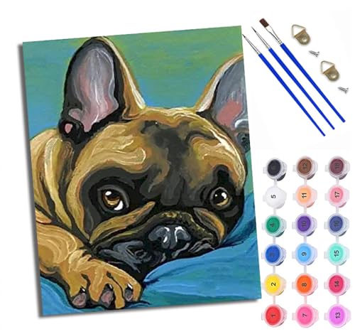 Malen Nach Zahlen ErwachseneFranzösische Bulldogge liegt auf einer blauen Matte DIY handgemaltes Ölgemälde Set für Anfänger und Erwachsene Acrylfarbe Kreative Heimdekoration Geschenk Weihnachten von WXRWANG