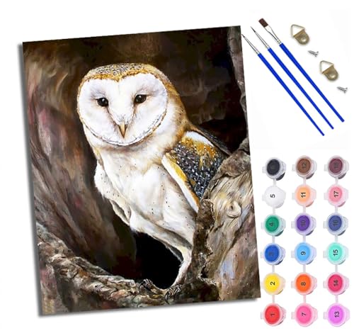 Malen Nach Zahlen Für Erwachsene Eule in einem Baumloch Malen Nach Zahlen Erwachsene Malen Nach Zahlen DIY Malen-Nach-Zahlen Kits Rahmenlose Leinwand Mit 3 Pinseln - 16 * 20 Zoll von WXRWANG