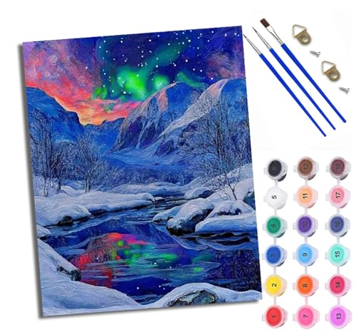 WXRWANG Malen Nach Zahlen Erwachsene Paint by Numbers Malen Nach Zahlen mit Pinseln und Acrylfarben Aurora Schneegebiet Handgemalte Ölgemälde Leinwand für Home Décor Ohne Rahmen von WXRWANG
