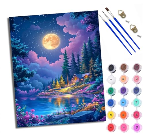 WXRWANG Malen Nach Zahlen Erwachsene Paint by Numbers Malen Nach Zahlen mit Pinseln und Acrylfarben Verträumte Nachtlandschaft Handgemalte Ölgemälde Leinwand für Home Décor Ohne Rahmen von WXRWANG