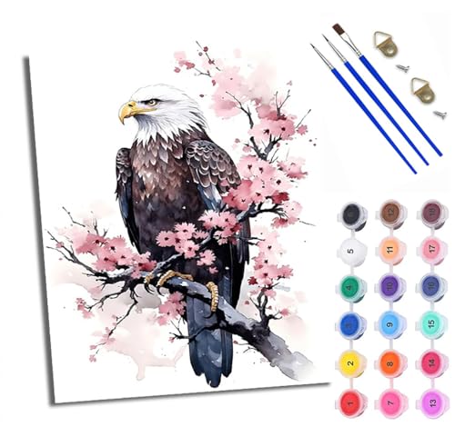 WXRWANG Malen Nach Zahlen Erwachsene Paint by Numbers Malen Nach Zahlen mit Pinseln und Acrylfarben Weißkopfseeadler auf Kirschblütenzweig Handgemalte Ölgemälde Leinwand für Home Décor Ohne Rahmen von WXRWANG
