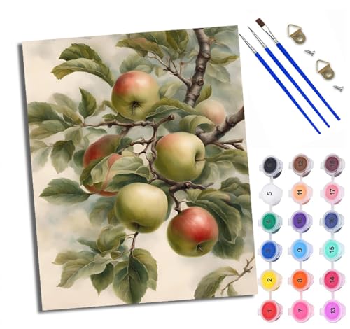 WXRWANG Malen Nach Zahlen ErwachseneApfel-Stillleben-Ölgemälde DIY handgemaltes Ölgemälde Set für Anfänger und Erwachsene Acrylfarbe Kreative Heimdekoration Geschenk Weihnachten von WXRWANG