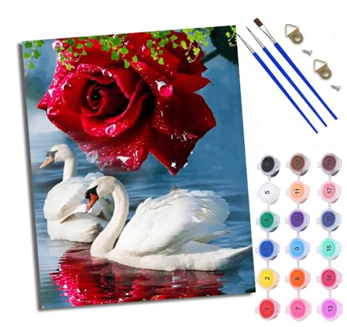 WXRWANG Malen Nach Zahlen ErwachseneRose und Schwan DIY handgemaltes Ölgemälde Set für Anfänger und Erwachsene Acrylfarbe Kreative Heimdekoration Geschenk Weihnachten von WXRWANG