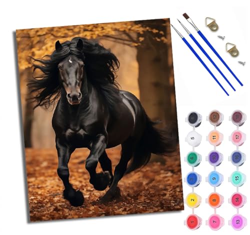 WXRWANG Malen Nach Zahlen Für Erwachsene Laufendes schwarzes Pferd Malen Nach Zahlen Erwachsene Malen Nach Zahlen DIY Malen-Nach-Zahlen Kits Rahmenlose Leinwand Mit 3 Pinseln - 16 * 20 Zoll WXRWANG Malen Nach Zahlen Für Erwachsene Laufendes schwarzes Pferd Malen Nach Zahlen Erwachsene Malen Nach Zahlen DIY Malen-Nach-Zahlen Kits Rahmenlose Leinwand Mit 3 Pinseln - 16 * 20 Zoll von WXRWANG