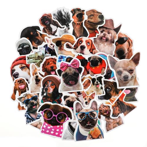 100 Stück Lustige Hunde-Aufkleber, Süße Tier Sticker Set Niedliche Aufkleber für Laptop Skateboard Fahrrad Gepäck Kühlschrank Auto Motorrad Gitarre Sammelalbum Telefon Wasserflaschen 100 Stück Lustige Hunde-Aufkleber, Süße Tier Sticker Set Niedliche Aufkleber für Laptop Skateboard Fahrrad Gepäck Kühlschrank Auto Motorrad Gitarre Sammelalbum Telefon Wasserflaschen von WY LIGHTING LEVEL