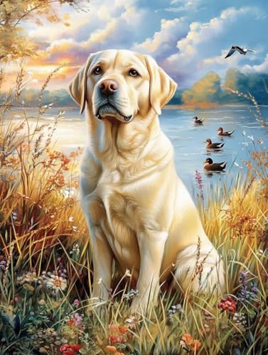 5D Diamond Painting Hund, Tier Diamond Painting Erwachsene, DIY Vollbohrer Runder Mosaikherstellung Crystal Art Stickerei Kreuzstich Malerei für Home Wand Deko Wohnzimmer Geschenk 30x40cm YJ-549 von WYJCDWOU