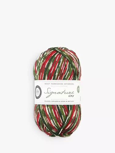 WYS Bluefaced Leicester Wolle "Signature 4ply" sock yarn 886-holly berry, 100g Wolle, Sockenwolle musterbildend mit blue faced leicester wool von Buosha