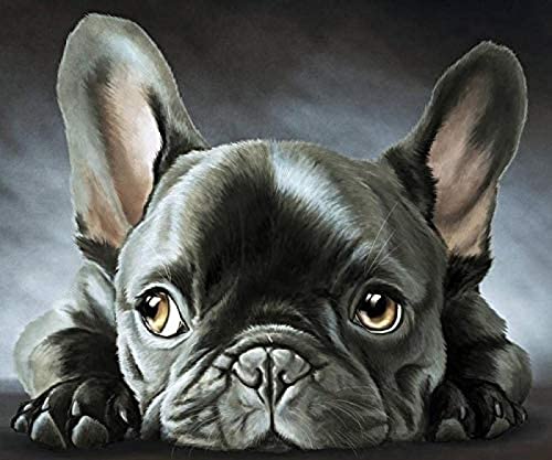 WYWQN 5D Diy Diamond Painting Kit Schwarze Französische Bulldogge Diamond Painting Arts Craft für Home Wall Decor Full Kit (Square Diamond Painting 30x40CM von Homry
