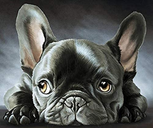 WYWQN 5D Diy Diamond Painting Kit Schwarze Französische Bulldogge Diamond Painting Kunsthandwerk für Zuhause Wanddekoration Full Kit (quadratische Diamantmalerei 40x50CM von WYWQN