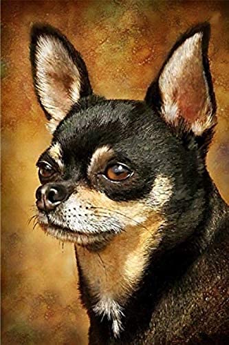 WYWQN 5D Diy Diamond Painting Kit Schwarzer Chihuahua Hund Kreuzstich Stickerei Diamond Painting Kits Wohnzimmer Schlafzimmer Dekoration Wandaufkleber (quadratische Diamantmalerei 50x50CM von WYWQN