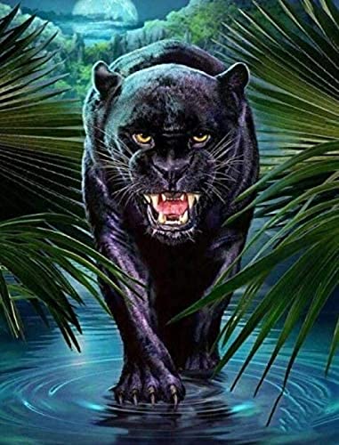 WYWQN DIY 5D Diamond Painting Kit Tier Schwarzer Panther Malen nach Zahlen Erwachsene Vollbohrer Kristall Strass Stickerei Bilder Kunsthandwerk Für Wohnkultur 30x40CM von WYWQN