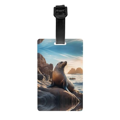 Seelöwe auf den Felsen für Golftaschen, Sichtschutz, abnehmbare Aktentasche (8,4 x 5,3 cm), Kinder-Schultasche, Sporttaschen-Etikett, Reisegepäck-Etikett von WZYCWB