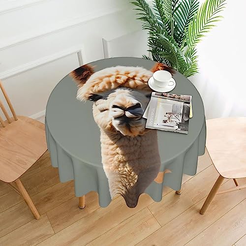 WZYCWB Alpaka-Avatar-Tischdecke, dekorativ, lang, 152,4 cm Durchmesser, runde Hochzeitstischdecke, allgemeine Zwecke, runde Tischdecke für Partys WZYCWB Alpaka-Avatar-Tischdecke, dekorativ, lang, 152,4 cm Durchmesser, runde Hochzeitstischdecke, allgemeine Zwecke, runde Tischdecke für Partys von WZYCWB