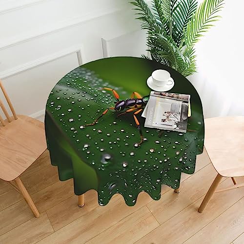 WZYCWB Dekorative lange Tischdecke mit Regenbogen-Insekten, 152,4 cm Durchmesser, runde Hochzeitstischdecke, Allzweck-Tischdecke für Partys WZYCWB Dekorative lange Tischdecke mit Regenbogen-Insekten, 152,4 cm Durchmesser, runde Hochzeitstischdecke, Allzweck-Tischdecke für Partys von WZYCWB