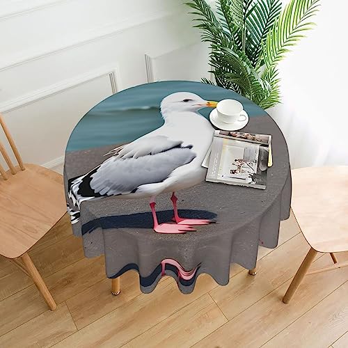 WZYCWB Dekorative lange Tischdecke mit niedlichem Möwen, 152,4 cm Durchmesser, runde Hochzeitstischdecke, allgemeine Zweck-Tischdecke für Partys WZYCWB Dekorative lange Tischdecke mit niedlichem Möwen, 152,4 cm Durchmesser, runde Hochzeitstischdecke, allgemeine Zweck-Tischdecke für Partys von WZYCWB