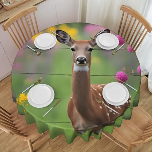 WZYCWB Eine schöne runde Spitzentischdecke mit Hirschmotiv, 152,4 cm im Durchmesser, waschbare Tischdecke, geeignet für Restaurants, Partys, Picknicks, Versammlungen WZYCWB Eine schöne runde Spitzentischdecke mit Hirschmotiv, 152,4 cm im Durchmesser, waschbare Tischdecke, geeignet für Restaurants, Partys, Picknicks, Versammlungen von WZYCWB