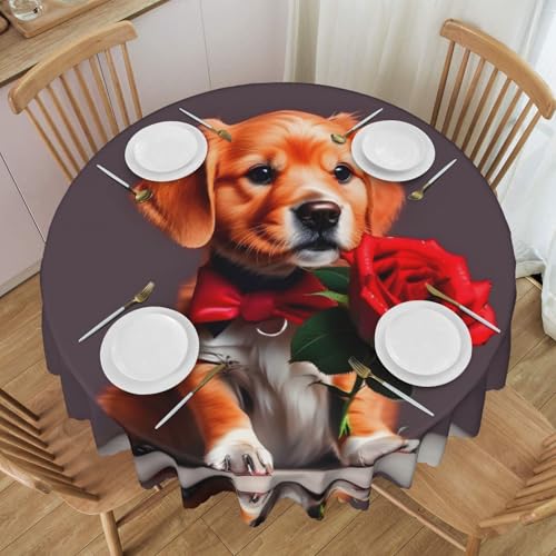WZYCWB Gentleman-Like Tischdecke, rund, Spitze, 152,4 cm Durchmesser, waschbar, geeignet für Restaurants, Partys, Picknicks, Versammlungen WZYCWB Gentleman-Like Tischdecke, rund, Spitze, 152,4 cm Durchmesser, waschbar, geeignet für Restaurants, Partys, Picknicks, Versammlungen von WZYCWB