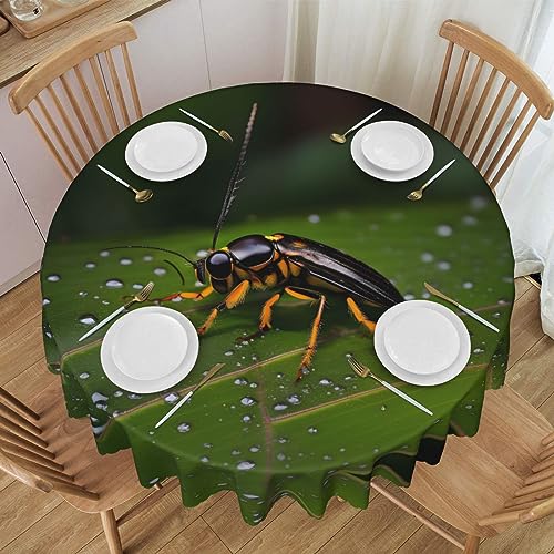 WZYCWB Runde Spitzentischdecke mit Insekten auf Blättern, 152,4 cm Durchmesser, waschbare Tischdecke, geeignet für Restaurants, Partys, Picknicks, Versammlungen WZYCWB Runde Spitzentischdecke mit Insekten auf Blättern, 152,4 cm Durchmesser, waschbare Tischdecke, geeignet für Restaurants, Partys, Picknicks, Versammlungen von WZYCWB