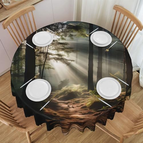 WZYCWB Runde Spitzentischdecke mit Licht im Wald, 152,4 cm Durchmesser, waschbare Tischdecke, geeignet für Restaurants, Partys, Picknicks, Versammlungen WZYCWB Runde Spitzentischdecke mit Licht im Wald, 152,4 cm Durchmesser, waschbare Tischdecke, geeignet für Restaurants, Partys, Picknicks, Versammlungen von WZYCWB