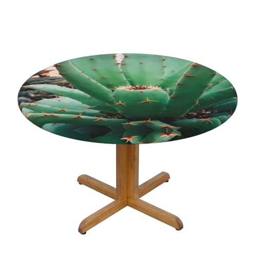 WZYWHJ Agave Kaktus-Drucke, runde Tischdecke, wasserdicht, knitterfrei, für Esstisch, Dekoration, Tischdecke WZYWHJ Agave Kaktus-Drucke, runde Tischdecke, wasserdicht, knitterfrei, für Esstisch, Dekoration, Tischdecke von WZYWHJ