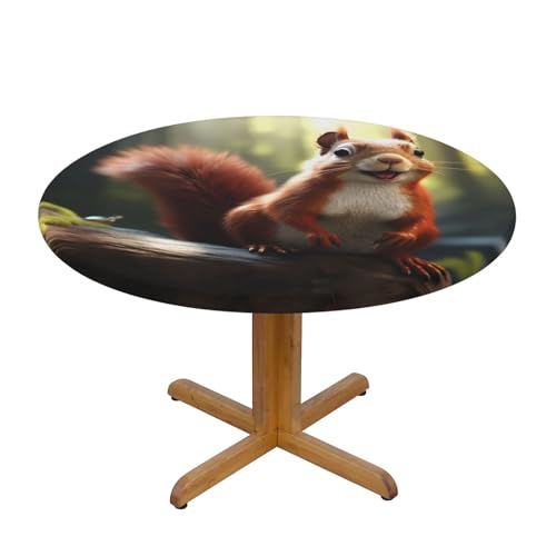 WZYWHJ Lustige Eichhörnchen-Drucke, runde Tischdecke, wasserdicht, knitterfrei, für Esstisch, Dekoration, Tischdecke WZYWHJ Lustige Eichhörnchen-Drucke, runde Tischdecke, wasserdicht, knitterfrei, für Esstisch, Dekoration, Tischdecke von WZYWHJ