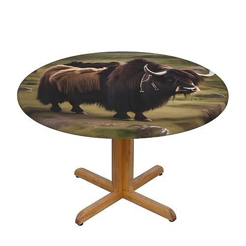 WZYWHJ Mighty Highland Yak-Tischdecke, rund, wasserdicht, knitterfrei, für Esstisch, Dekoration, Tischdecke WZYWHJ Mighty Highland Yak-Tischdecke, rund, wasserdicht, knitterfrei, für Esstisch, Dekoration, Tischdecke von WZYWHJ