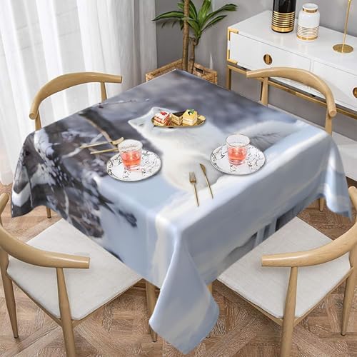 WZYWHJ Quadratische dekorative Tischdecke, 137,2 x 137,2 cm, waschbar, wiederverwendbar, Fuchs im Schnee, bedruckt WZYWHJ Quadratische dekorative Tischdecke, 137,2 x 137,2 cm, waschbar, wiederverwendbar, Fuchs im Schnee, bedruckt von WZYWHJ