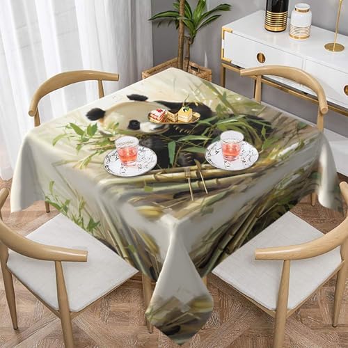 WZYWHJ Quadratische dekorative Tischdecke, 137,2 x 137,2 cm, waschbar, wiederverwendbar, Motiv: Panda, Bambussprossen, bedruckt WZYWHJ Quadratische dekorative Tischdecke, 137,2 x 137,2 cm, waschbar, wiederverwendbar, Motiv: Panda, Bambussprossen, bedruckt von WZYWHJ