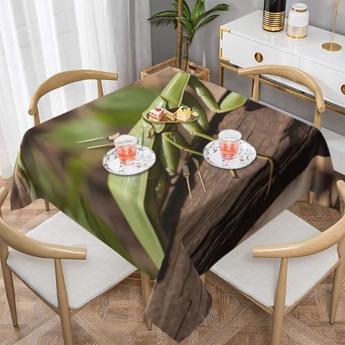 WZYWHJ Quadratische dekorative Tischdecke, 137,2 x 137,2 cm, waschbar, wiederverwendbar, Motiv: schlafende Mantis WZYWHJ Quadratische dekorative Tischdecke, 137,2 x 137,2 cm, waschbar, wiederverwendbar, Motiv: schlafende Mantis von WZYWHJ