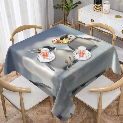 WZYWHJ Quadratische dekorative Tischdecke, 137,2 x 137,2 cm, waschbar, wiederverwendbar, niedliches Pinguin-Muster WZYWHJ Quadratische dekorative Tischdecke, 137,2 x 137,2 cm, waschbar, wiederverwendbar, niedliches Pinguin-Muster von WZYWHJ