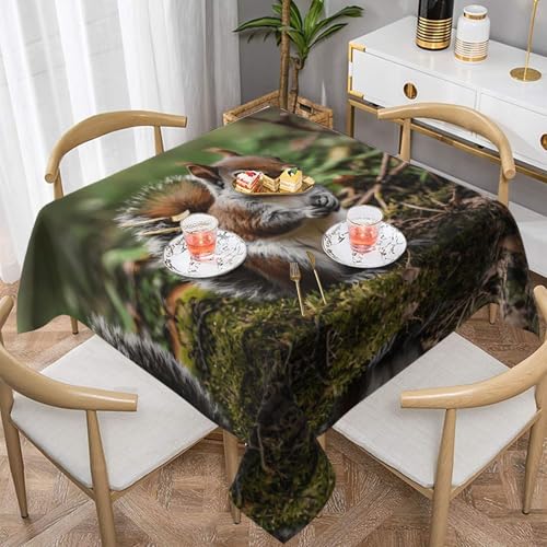 WZYWHJ Quadratische dekorative Tischdecke, 137,2 x 137,2 cm, waschbar und wiederverwendbar, niedliches kleines Eichhörnchenmuster WZYWHJ Quadratische dekorative Tischdecke, 137,2 x 137,2 cm, waschbar und wiederverwendbar, niedliches kleines Eichhörnchenmuster von WZYWHJ