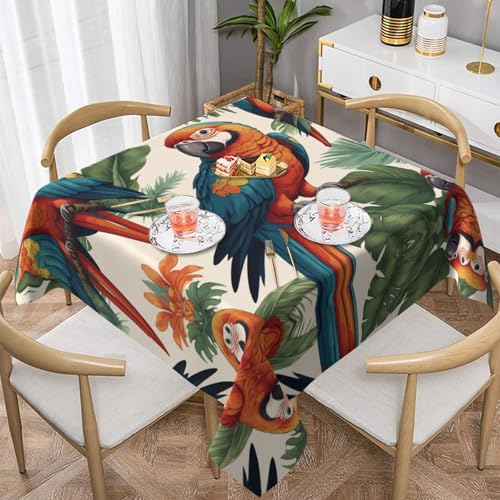 WZYWHJ Quadratische dekorative Tischdecke, 137,2 x 137,2 cm, waschbare und wiederverwendbare Papageien-Drucke WZYWHJ Quadratische dekorative Tischdecke, 137,2 x 137,2 cm, waschbare und wiederverwendbare Papageien-Drucke von WZYWHJ