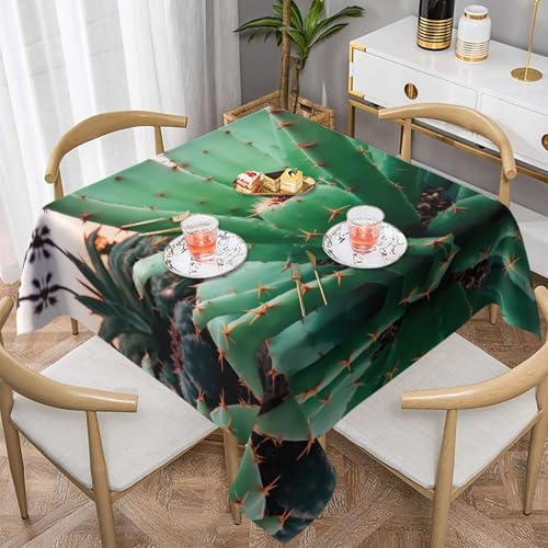 WZYWHJ Quadratische dekorative Tischdecke, 152,4 x 152,4 cm, waschbar, wiederverwendbar, Agavenkaktusbild WZYWHJ Quadratische dekorative Tischdecke, 152,4 x 152,4 cm, waschbar, wiederverwendbar, Agavenkaktusbild von WZYWHJ