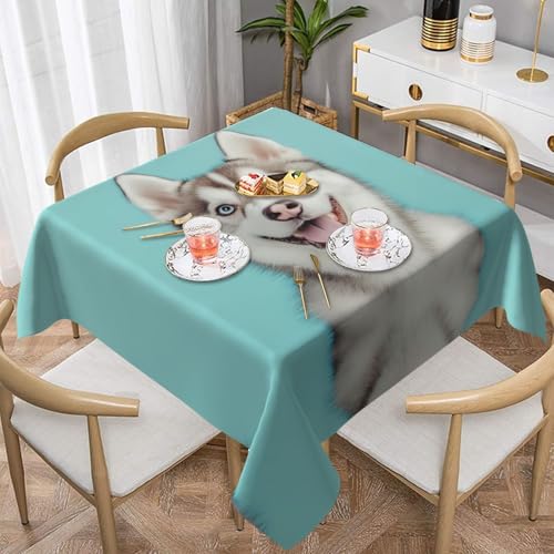 WZYWHJ Quadratische dekorative Tischdecke, 152,4 x 152,4 cm, waschbar, wiederverwendbar, niedliches Husky-Muster WZYWHJ Quadratische dekorative Tischdecke, 152,4 x 152,4 cm, waschbar, wiederverwendbar, niedliches Husky-Muster von WZYWHJ