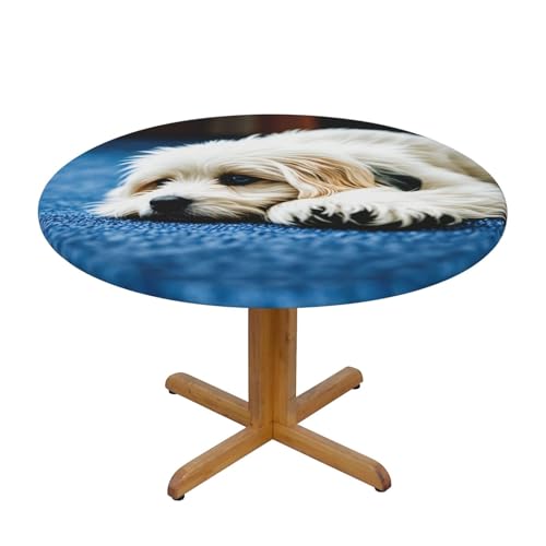 WZYWHJ Runde Tischdecke mit Teppich-Welpen-Aufdruck, wasserdicht, knitterfrei, für Esstisch, Dekoration, Tischdecke WZYWHJ Runde Tischdecke mit Teppich-Welpen-Aufdruck, wasserdicht, knitterfrei, für Esstisch, Dekoration, Tischdecke von WZYWHJ