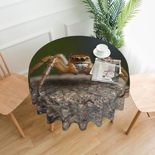 WZYWHJ Runde dekorative Tischdecke mit Spinnenmuster, 152,4 cm, kann gewaschen und wiederverwendet werden, für runden Esstisch WZYWHJ Runde dekorative Tischdecke mit Spinnenmuster, 152,4 cm, kann gewaschen und wiederverwendet werden, für runden Esstisch von WZYWHJ