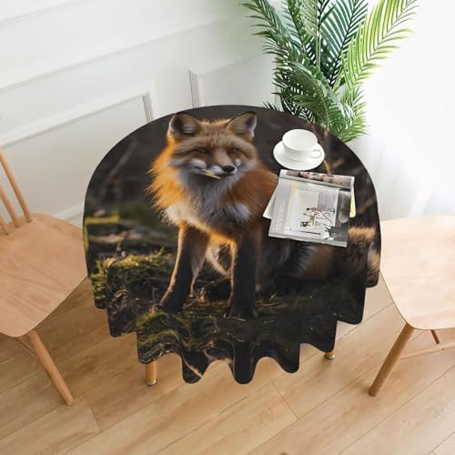WZYWHJ Runde dekorative Tischdecke mit niedlichem Fuchsmuster, 152,4 cm, kann gewaschen und wiederverwendet werden, für runden Esstisch WZYWHJ Runde dekorative Tischdecke mit niedlichem Fuchsmuster, 152,4 cm, kann gewaschen und wiederverwendet werden, für runden Esstisch von WZYWHJ