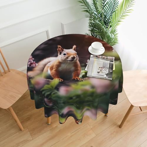 WZYWHJ Runde lange Tischdecke mit niedlichem Eichhörnchen-Druck, Anti-Überlauf und knitterfrei, Esstischdecke, 152,4 cm WZYWHJ Runde lange Tischdecke mit niedlichem Eichhörnchen-Druck, Anti-Überlauf und knitterfrei, Esstischdecke, 152,4 cm von WZYWHJ