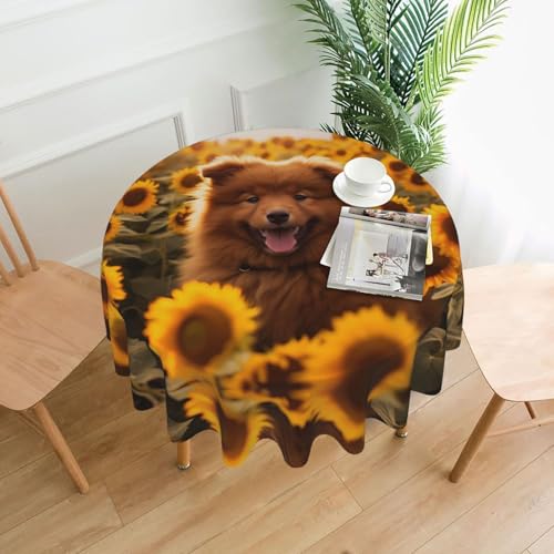 WZYWHJ Runde lange Tischdecke mit niedlichem Pudel-Druck, Anti-Überlauf und knitterfrei, Esstischdecke, 152,4 cm WZYWHJ Runde lange Tischdecke mit niedlichem Pudel-Druck, Anti-Überlauf und knitterfrei, Esstischdecke, 152,4 cm von WZYWHJ