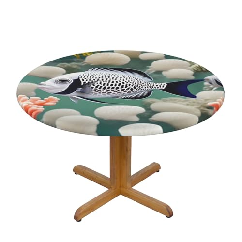 WZYWHJ Tischdecke, rund, tropische Fische, wasserdicht, knitterfrei, für Esstisch, Dekoration, Tischdecke WZYWHJ Tischdecke, rund, tropische Fische, wasserdicht, knitterfrei, für Esstisch, Dekoration, Tischdecke von WZYWHJ