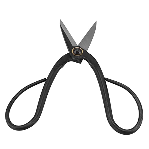 Wakects Bonsai Scissors Bonsai Scherschneider -Werkzeug 200 Mm Multi Funktional für Zweige Stängel Wurzeln Wakects Bonsai Scissors Bonsai Scherschneider -Werkzeug 200 Mm Multi Funktional für Zweige Stängel Wurzeln von Wakects