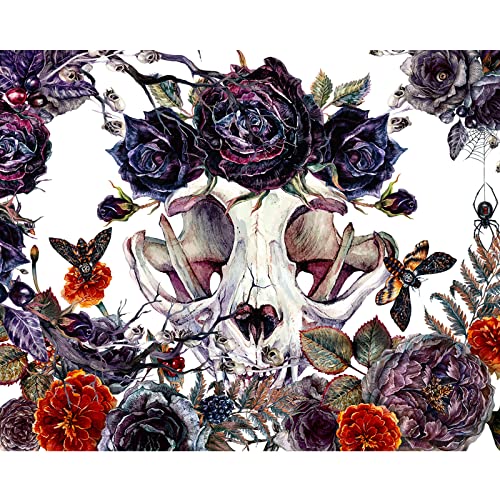 Malen nach Zahlen Kits für Erwachsene Anfänger Totenkopf Blume DIY-Ölgemälde-Set auf Leinwand mit Malpinseln Rose Pfingstrose Blume Honigbiene Acryl-Pigment-Kits Heimwandkunst Dekoration (mit Rahmen) Malen nach Zahlen Kits für Erwachsene Anfänger Totenkopf Blume DIY-Ölgemälde-Set auf Leinwand mit Malpinseln Rose Pfingstrose Blume Honigbiene Acryl-Pigment-Kits Heimwandkunst Dekoration (mit Rahmen) von Walarky