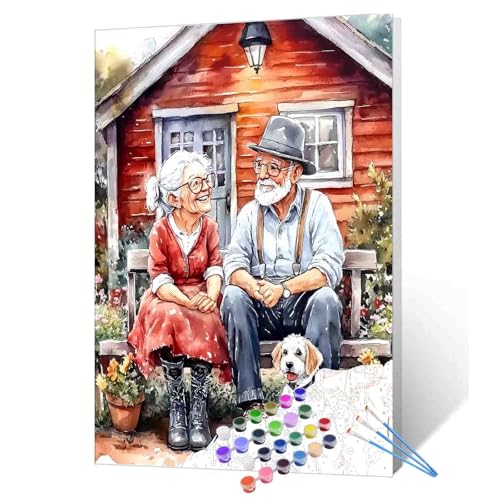 Malen nach Zahlen für Erwachsene, alte Frau und alten Mann, Malerei, Acrylfarbe, DIY, digitales Ölgemälde, Holzhaus, Malerei-Set, Paar, Leinwandkunst, Wohnzimmerdekoration, 40,6 x 50,8 cm (ohne Rahmen von Walarky