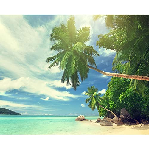 Tropischer Kokosbaum Malen nach Zahlen Leinwand Hawaii-Sonnenzimmer Meereslandschaft DIY Ölgemälde für Kinder Erwachsene Anfänger Ozean Strand Landschaft Kunstwerk mit Pinseln Männerhöhle Geschenk von Walarky