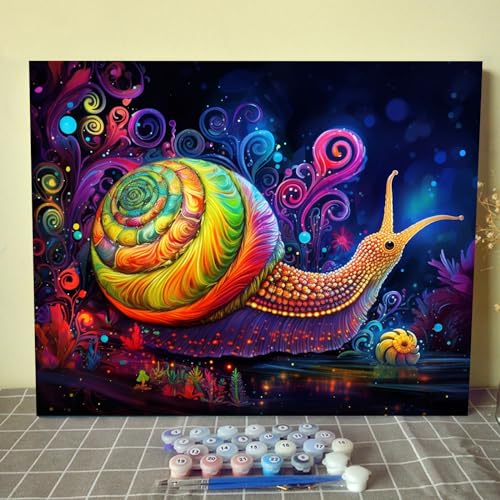 Walarky Acryl-Malset mit großer Schnecke, Malen nach Zahlen auf Leinwand, für Erwachsene, leuchtende Nacht, Malen nach Zahlen für Anfänger, Kinder, geeignet für Heimwanddekoration, 40,6 x 50,8 cm, Walarky Acryl-Malset mit großer Schnecke, Malen nach Zahlen auf Leinwand, für Erwachsene, leuchtende Nacht, Malen nach Zahlen für Anfänger, Kinder, geeignet für Heimwanddekoration, 40,6 x 50,8 cm, von Walarky