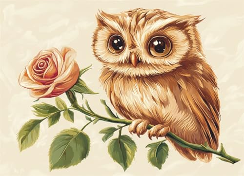 Wallphantom DIY Knüpfteppich Zum Selber Knüpfen,Eule und eine Rose,Knüpfpackungen Für Teppiche Zum Selbermachen Für Familie Und Freunde,Handarbeit,Bastelset,Geschenk,60x90cm Wallphantom DIY Knüpfteppich Zum Selber Knüpfen,Eule und eine Rose,Knüpfpackungen Für Teppiche Zum Selbermachen Für Familie Und Freunde,Handarbeit,Bastelset,Geschenk,60x90cm von Wallphantom